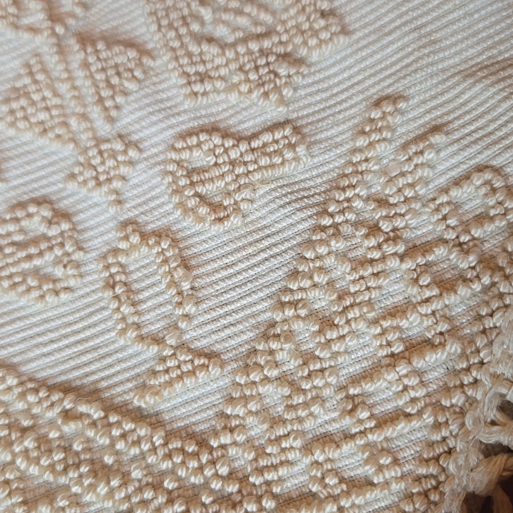Cream Fringed Embroidered Throw Rug - Picture 4 of 10
